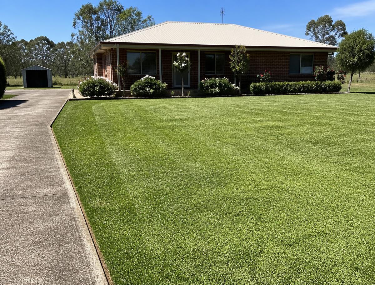 How Often Should You Mow Your Lawn in Mudgee?